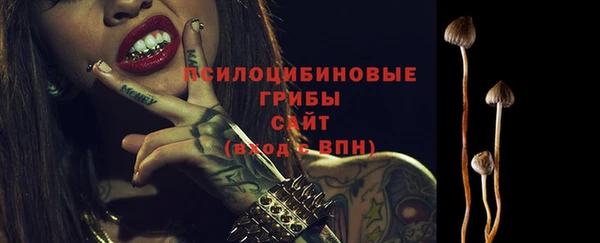 молекула духа Горняк