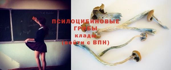 молекула духа Горняк