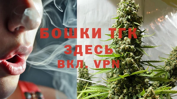 молекула духа Горняк