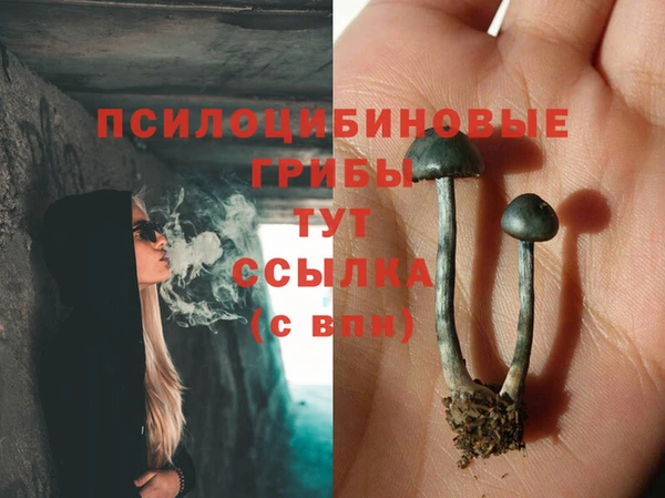 МДМА Горно-Алтайск