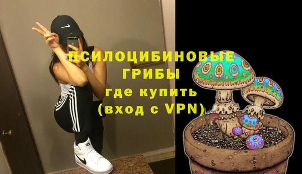 молекула духа Горняк