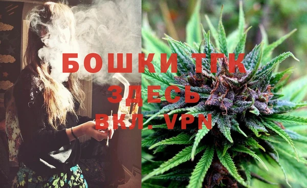 молекула духа Горняк