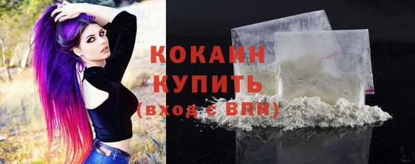 молекула духа Горняк
