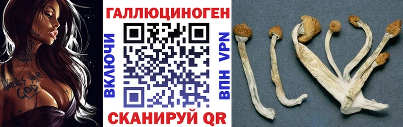 купить наркоту  Эртиль  Псилоцибиновые грибы прущие грибы 